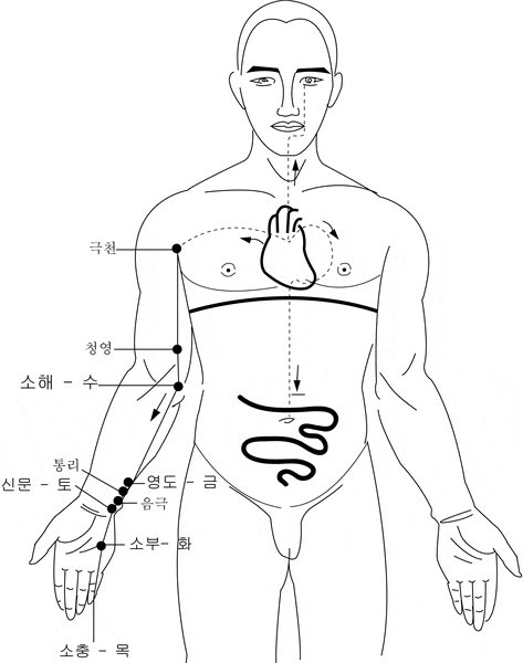 수소음심경 (手少陰心經) – 좌우 각각 9 경혈