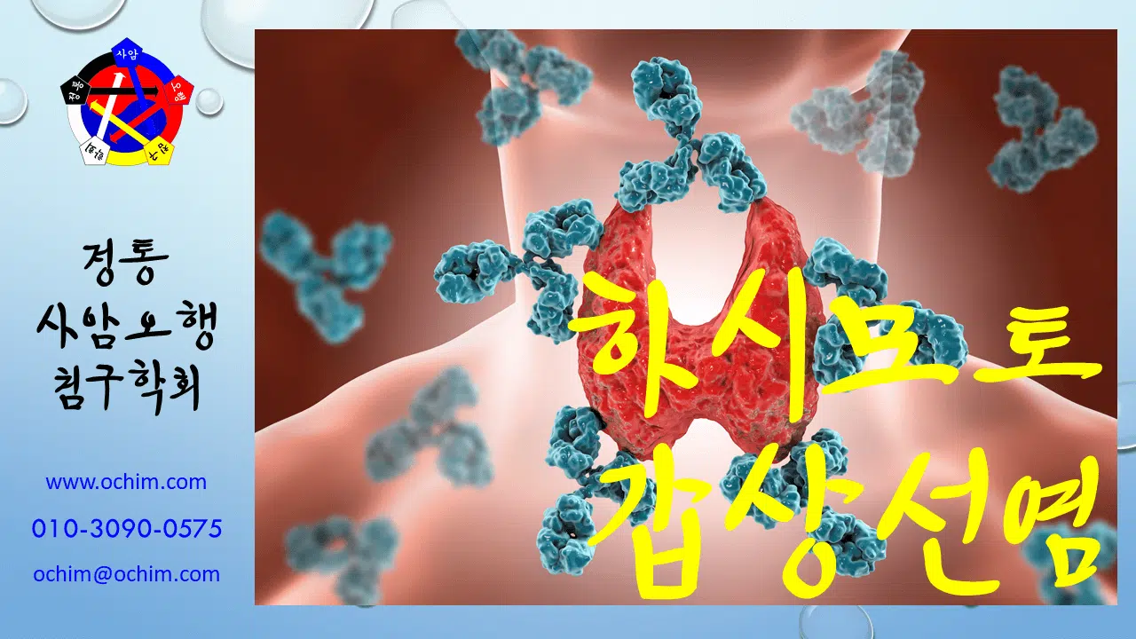 비과학적 양의학 65 - 하시모토 갑상선염 치료 방법
