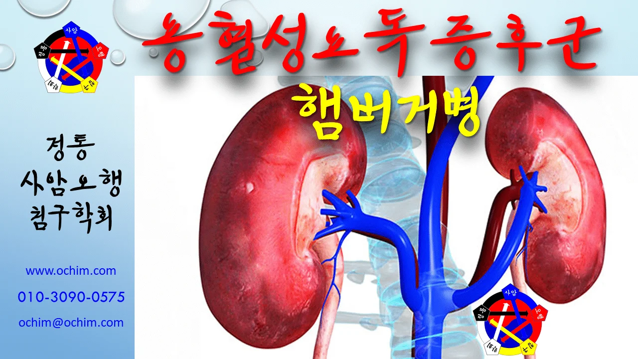 사암침법 - 용혈성요독증후군 햄버거병 치료 방법 - 비과학적 양의학 97