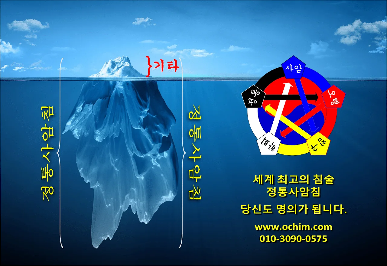 사암침법의 황제 정통사암침