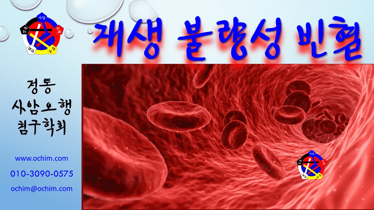 사암침, 사암침법 - 재생불량성 빈혈 치료 방법 - 비과학적 양의학 105