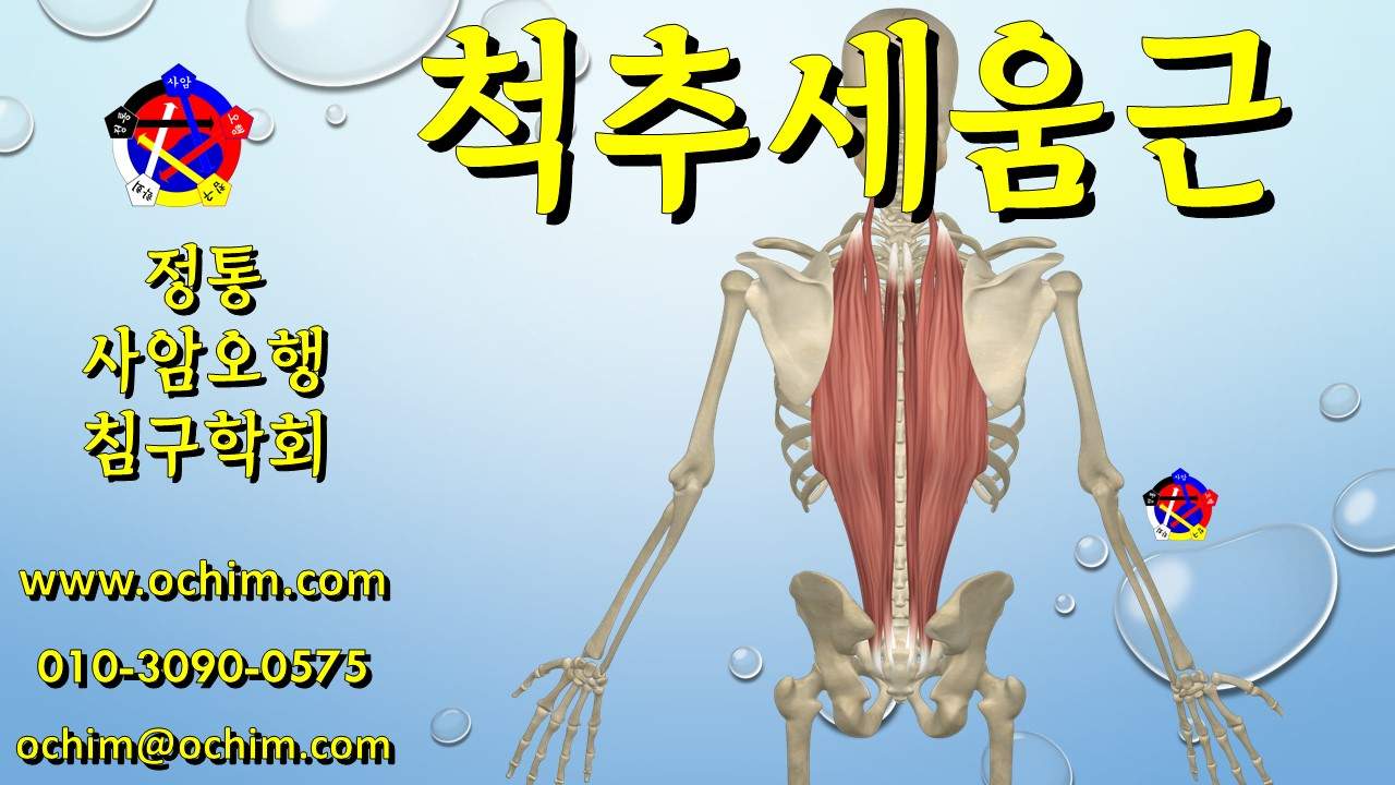 척주세움근 통증 치료 후기 - 사암오행침, 사암침법, 오행침, 정통사암침